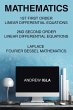 Mathematics 1st First Order Linear... - Bild 1