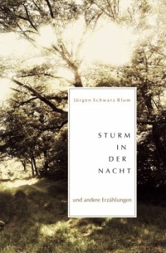 Sturm in der Nacht - Schwarz Blum, Jürgen