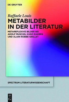 Metabilder in der Literatur (eBook, ePUB) - Louis, Raffaele