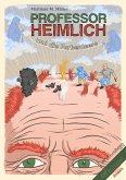 Professor Heimlich und die Farbenleere (eBook, ePUB)