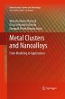 Metal Clusters and Nanoalloys - Bild 1