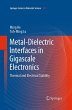 Metal-Dielectric Interfaces in... - Bild 1