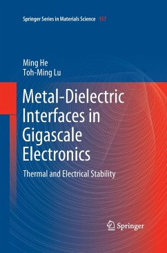 Metal-Dielectric Interfaces in Gigascale Electronics - He, Ming;Lu, Toh-Ming