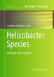 Helicobacter Species - Bild 1