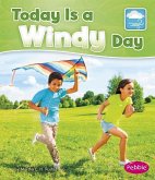 Today Is a Windy Day