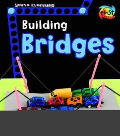 Building Bridges - Enz, Tammy