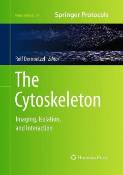 The Cytoskeleton