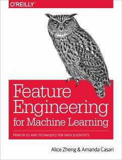 Feature Engineering for Machine Learning - Zheng, Alice