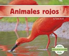 Animales Rojos - Borth, Teddy