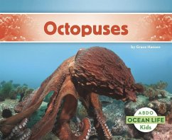 Octopuses - Hansen, Grace