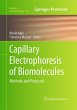 Capillary Electrophoresis of... - Bild 1