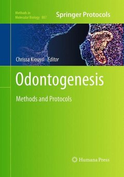 Odontogenesis