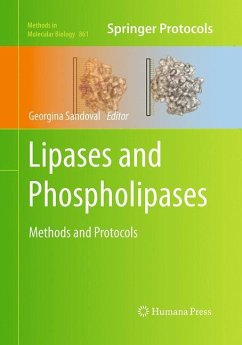 Lipases and Phospholipases