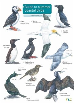 Cover Guide to Summer Coastal Birds