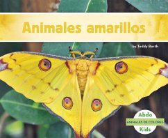 Animales Amarillos - Borth, Teddy