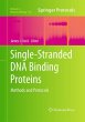 Single-Stranded DNA Binding Proteins - Bild 1