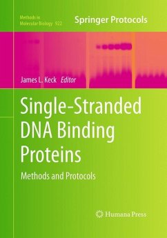 Single-Stranded DNA Binding Proteins