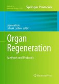 Organ Regeneration
