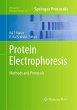 Protein Electrophoresis - Bild 1