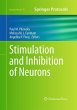 Stimulation and Inhibition of Neurons - Bild 1