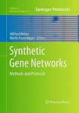 Synthetic Gene Networks