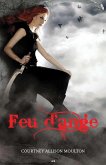 Feu d'ange (eBook, ePUB)