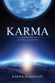 Karma (eBook, ePUB)