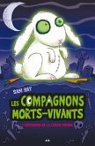 L'ascension de la lapine zombie (eBook, ePUB)