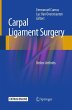 Carpal Ligament Surgery - Bild 1