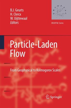 Particle-Laden Flow