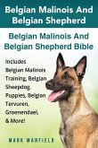 Belgian Malinois And Belgian Shepherd