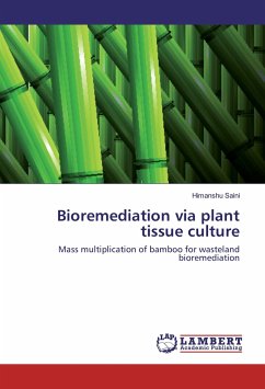 Bioremediation via plant tissue culture