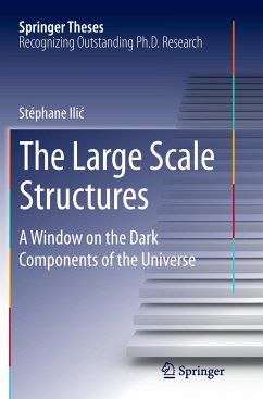 The Large Scale Structures - Ilic, Stéphane