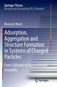 Adsorption, Aggregation and Structure Formation in Systems of Charged Particles - Bharti, Bhuvnesh