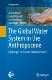 The Global Water System in the Anthropocene