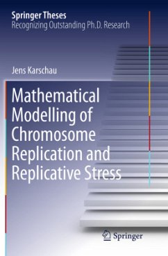 Mathematical Modelling of Chromosome Replication and Replicative Stress - Karschau, Jens