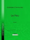 Le Feu (eBook, ePUB)