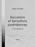 Excursions et Sensations pyrénéennes (eBook, ePUB)