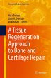 A Tissue Regeneration Approach to Bone... - Bild 1