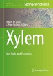 Xylem - Bild 1