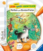 Merken und Konzentrieren / Mein Lern-Spiel-Abenteuer tiptoi® Bd.4