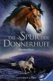 Sternenfeuer / Die Spur der Donnerhufe Bd.2