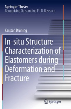In-situ Structure Characterization of Elastomers during Deformation and Fracture - Brüning, Karsten