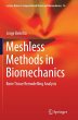 Meshless Methods in Biomechanics - Bild 1