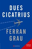 Dues cicatrius (eBook, ePUB)