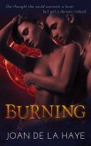Burning (eBook, ePUB)