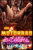 Ihr Motorrad-Drache (eBook, ePUB)