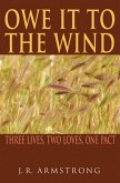 Owe It To The Wind (eBook, ePUB)
