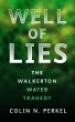 Well of Lies (eBook, ePUB) - Bild 1