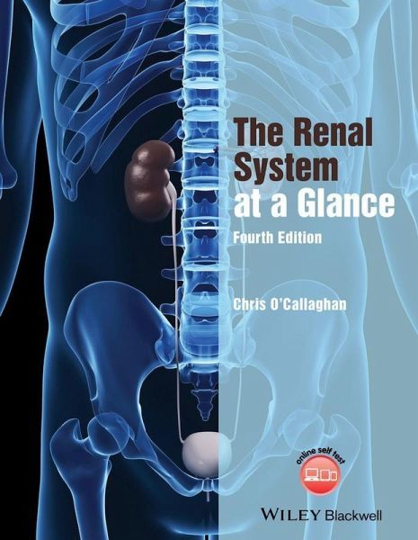 The Renal System at a Glance (eBook, PDF)